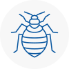 Bed Bug Extermination In Canary Wharf