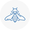 Bee Nest Removal Canary Wharf