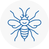 Canary Wharf Hornet Nest Removals