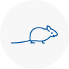 Mice Exterminators In Canary Wharf