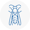 Canary Wharf Wasp Nest Removal